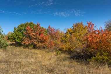 Cherna Gora (Monte Negro) dağının sonbahar manzarası, Pernik Bölgesi, Bulgaristan