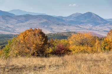 Cherna Gora (Monte Negro) dağının sonbahar manzarası, Pernik Bölgesi, Bulgaristan