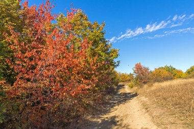 Cherna Gora (Monte Negro) dağının sonbahar manzarası, Pernik Bölgesi, Bulgaristan