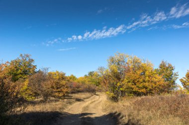 Cherna Gora (Monte Negro) dağının sonbahar manzarası, Pernik Bölgesi, Bulgaristan
