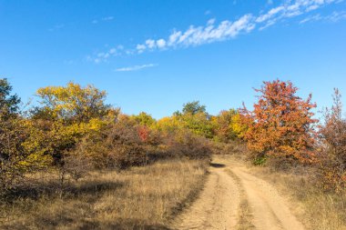 Cherna Gora (Monte Negro) dağının sonbahar manzarası, Pernik Bölgesi, Bulgaristan