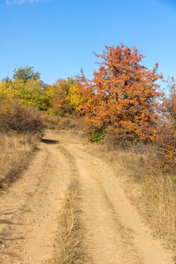 Cherna Gora (Monte Negro) dağının sonbahar manzarası, Pernik Bölgesi, Bulgaristan