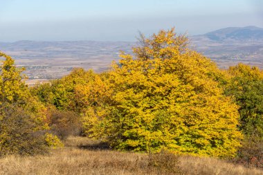 Cherna Gora (Monte Negro) dağının sonbahar manzarası, Pernik Bölgesi, Bulgaristan