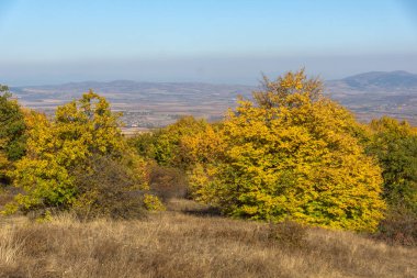 Cherna Gora (Monte Negro) dağının sonbahar manzarası, Pernik Bölgesi, Bulgaristan