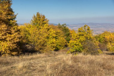 Cherna Gora (Monte Negro) dağının sonbahar manzarası, Pernik Bölgesi, Bulgaristan
