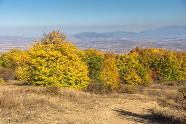 Cherna Gora (Monte Negro) dağının sonbahar manzarası, Pernik Bölgesi, Bulgaristan