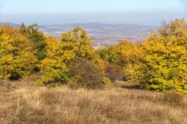 Cherna Gora (Monte Negro) dağının sonbahar manzarası, Pernik Bölgesi, Bulgaristan