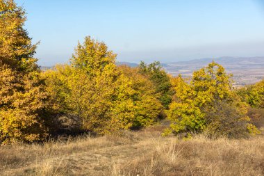 Cherna Gora (Monte Negro) dağının sonbahar manzarası, Pernik Bölgesi, Bulgaristan