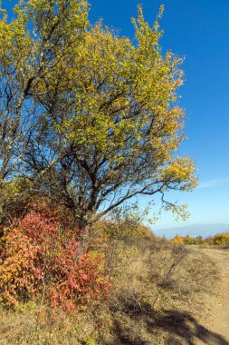 Cherna Gora (Monte Negro) dağının sonbahar manzarası, Pernik Bölgesi, Bulgaristan