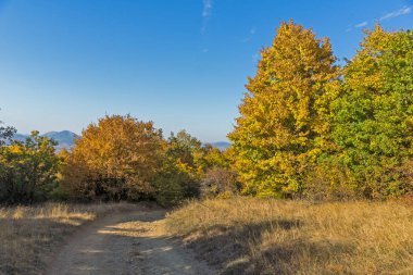 Cherna Gora (Monte Negro) dağının sonbahar manzarası, Pernik Bölgesi, Bulgaristan