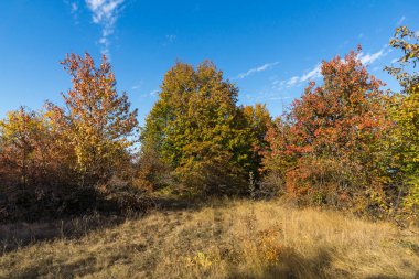 Cherna Gora (Monte Negro) dağının sonbahar manzarası, Pernik Bölgesi, Bulgaristan