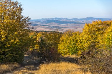 Cherna Gora (Monte Negro) dağının sonbahar manzarası, Pernik Bölgesi, Bulgaristan