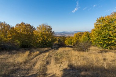 Cherna Gora (Monte Negro) dağının sonbahar manzarası, Pernik Bölgesi, Bulgaristan