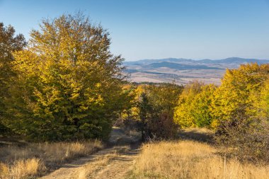 Cherna Gora (Monte Negro) dağının sonbahar manzarası, Pernik Bölgesi, Bulgaristan
