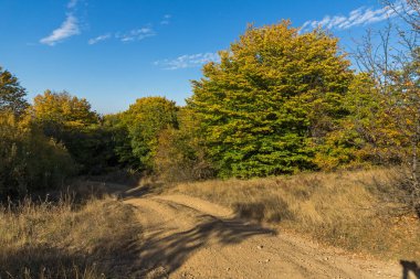 Cherna Gora (Monte Negro) dağının sonbahar manzarası, Pernik Bölgesi, Bulgaristan