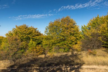 Cherna Gora (Monte Negro) dağının sonbahar manzarası, Pernik Bölgesi, Bulgaristan