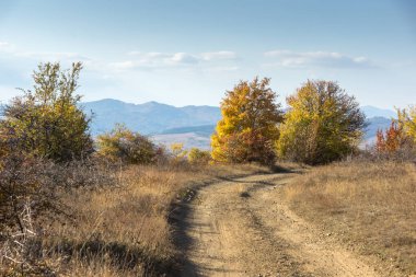 Cherna Gora (Monte Negro) dağının sonbahar manzarası, Pernik Bölgesi, Bulgaristan