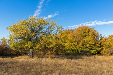 Cherna Gora (Monte Negro) dağının sonbahar manzarası, Pernik Bölgesi, Bulgaristan