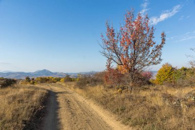 Cherna Gora (Monte Negro) dağının sonbahar manzarası, Pernik Bölgesi, Bulgaristan