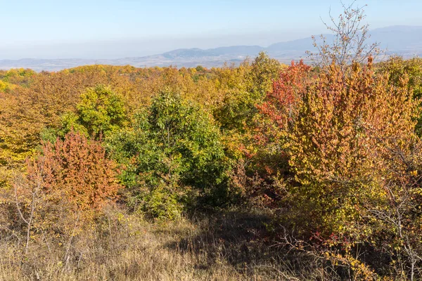Cherna Gora (Monte Negro) dağının sonbahar manzarası, Pernik Bölgesi, Bulgaristan