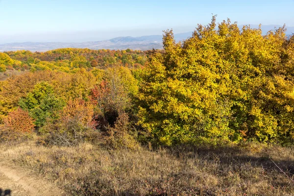 Cherna Gora (Monte Negro) dağının sonbahar manzarası, Pernik Bölgesi, Bulgaristan