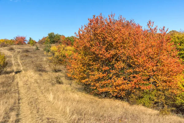 Cherna Gora (Monte Negro) dağının sonbahar manzarası, Pernik Bölgesi, Bulgaristan