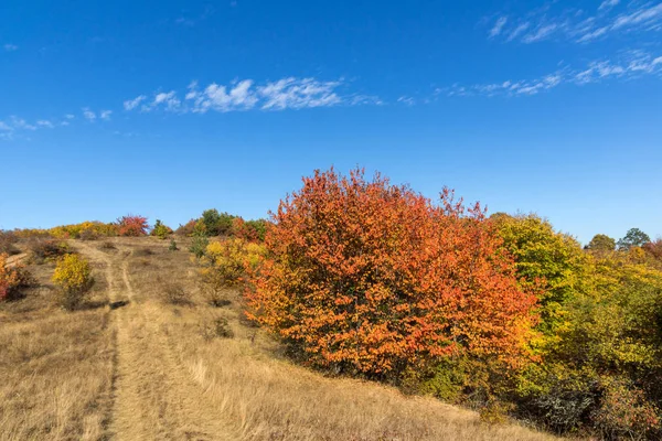 Cherna Gora (Monte Negro) dağının sonbahar manzarası, Pernik Bölgesi, Bulgaristan