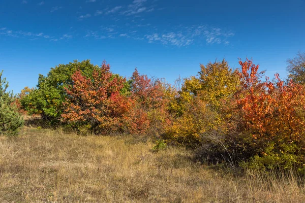 Cherna Gora (Monte Negro) dağının sonbahar manzarası, Pernik Bölgesi, Bulgaristan