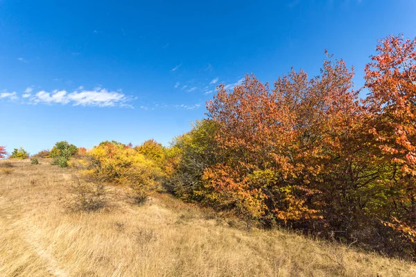 Cherna Gora (Monte Negro) dağının sonbahar manzarası, Pernik Bölgesi, Bulgaristan