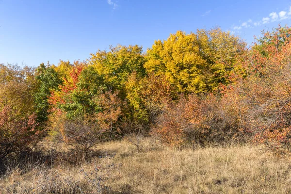 Vista Autunnale Della Montagna Cherna Gora Monte Negro Regione Pernik — Foto Stock