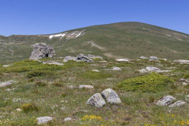 Belmeken Peak yakınlarındaki manzara, Rila dağı, Bulgaristan
