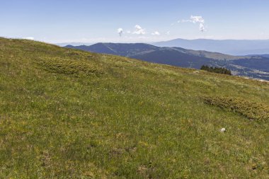 Belmeken Peak yakınlarındaki manzara, Rila dağı, Bulgaristan