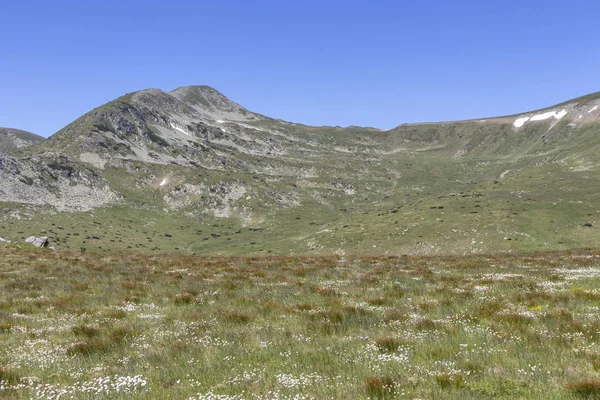 Belmeken Peak yakınlarındaki manzara, Rila dağı, Bulgaristan