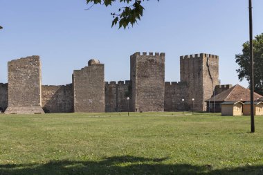 Sırbistan'ın Smederevo kentindeki Smederevo Kalesi harabeleri