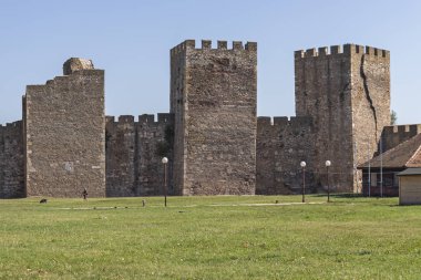 Sırbistan'ın Smederevo kentindeki Smederevo Kalesi harabeleri