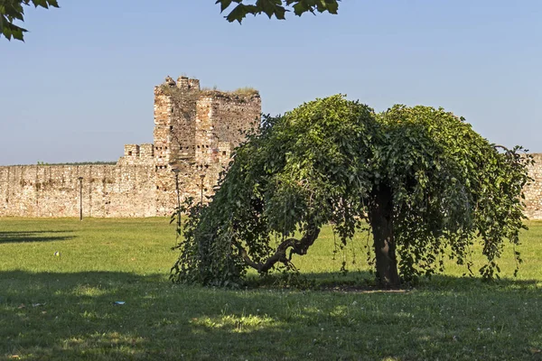 Ruinas de la Fortaleza de Smederevo en la ciudad de Smederevo, Serbia — Foto de Stock