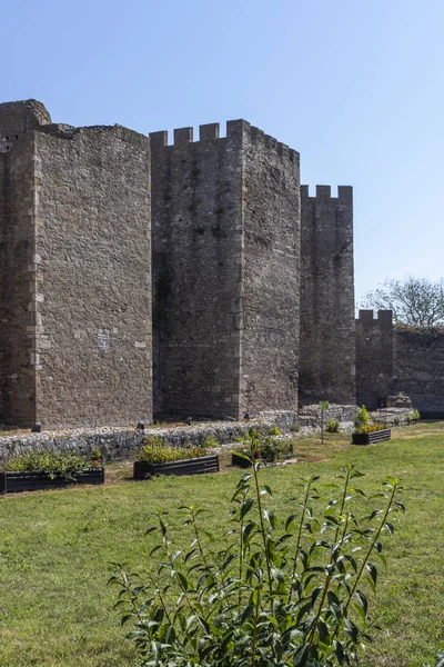 Sırbistan'ın Smederevo kentindeki Smederevo Kalesi harabeleri — Stok fotoğraf