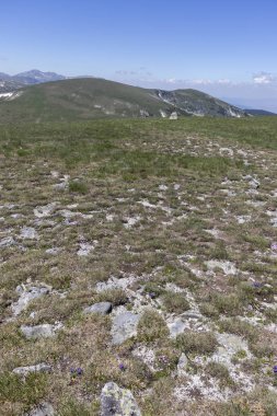 Belmeken Peak'ten manzara, Rila dağı, Bulgaristan