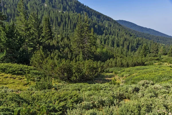 Paisaje del valle del río Begovitsa, Montaña Pirin, Bulgaria — Foto de Stock