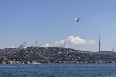 Boğaz'dan İstanbul şehrine panorama