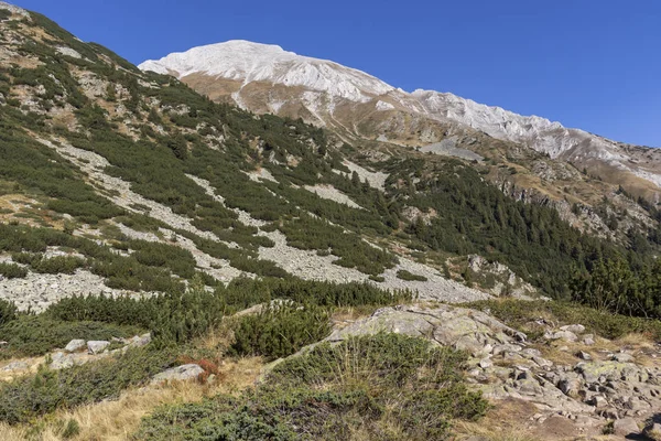 Lansekap dengan Puncak Vihren, Gunung Pirin — Stok Foto