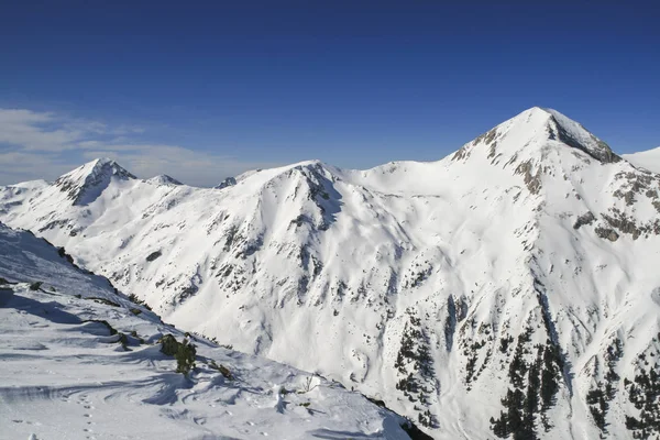 Panorama hivernal de Pirin Mountain, Bulgarie — Photo