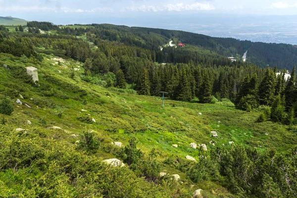 Paysage estival de la montagne de Vitosha, Bulgarie — Photo