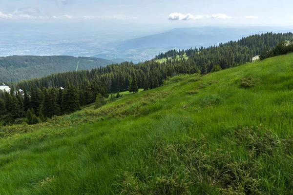 Sommerlandschaft des Vitosha-Gebirges, Bulgarien — Stockfoto
