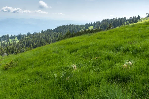 Summer Landscape of Vitosha Mountain, Bulgaria — Stock Photo, Image