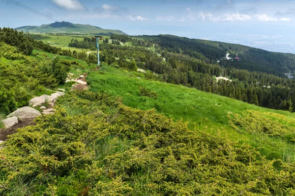 Summer Landscape of Vitosha Mountain, Bulgaria — Stock Photo, Image
