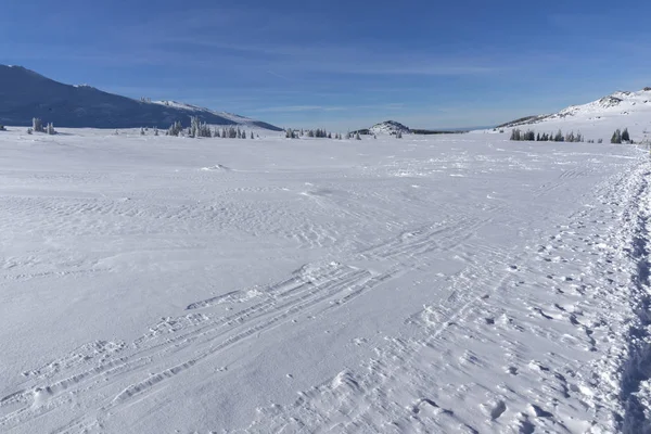 Vista de invierno de la montaña Vitosha, Bulgaria —  Fotos de Stock