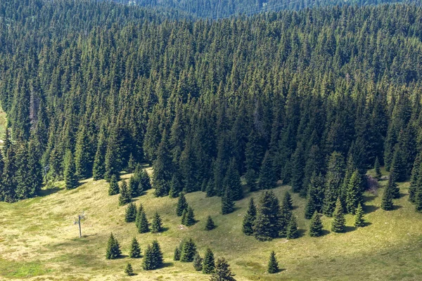 Bulgaristan 'ın Snezhanka kulesinden Rodop Dağlarının manzarası