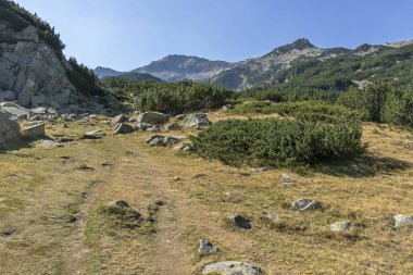 Banderitsa Nehri Vadisi, Pirin Dağı, Bulgaristan