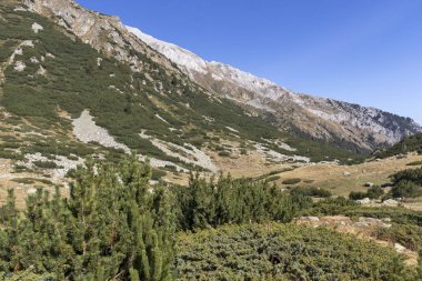 Banderitsa Nehri Vadisi, Pirin Dağı, Bulgaristan